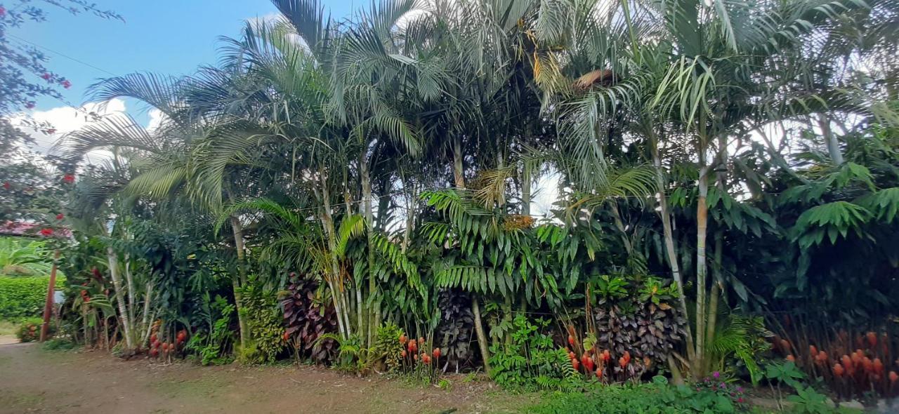 مبيت وإفطار بيجاغوا Jardin Entre Montanas المظهر الخارجي الصورة