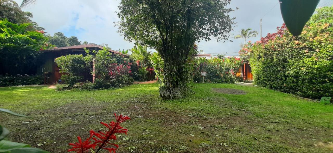 مبيت وإفطار بيجاغوا Jardin Entre Montanas المظهر الخارجي الصورة