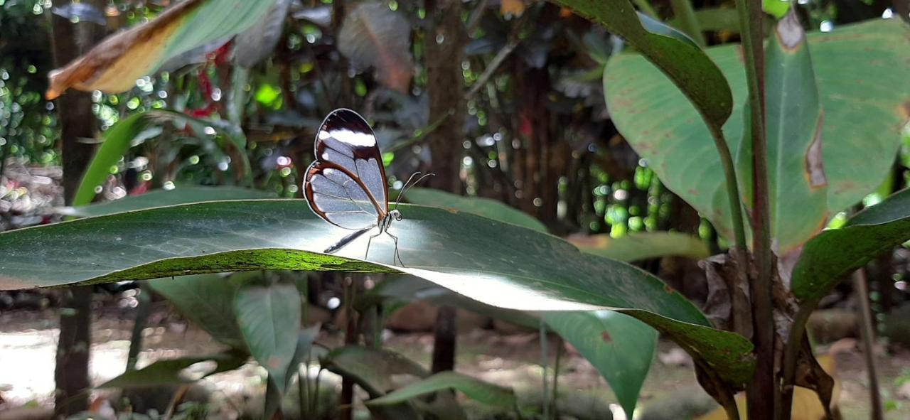 مبيت وإفطار بيجاغوا Jardin Entre Montanas المظهر الخارجي الصورة
