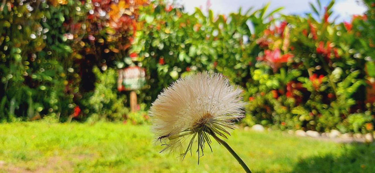مبيت وإفطار بيجاغوا Jardin Entre Montanas المظهر الخارجي الصورة