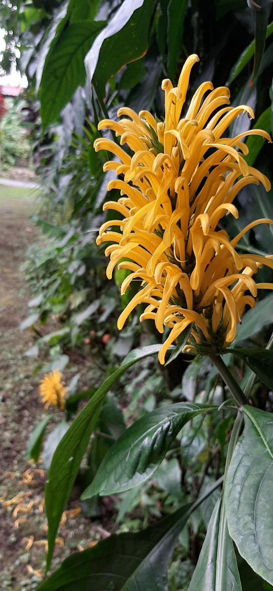مبيت وإفطار بيجاغوا Jardin Entre Montanas المظهر الخارجي الصورة