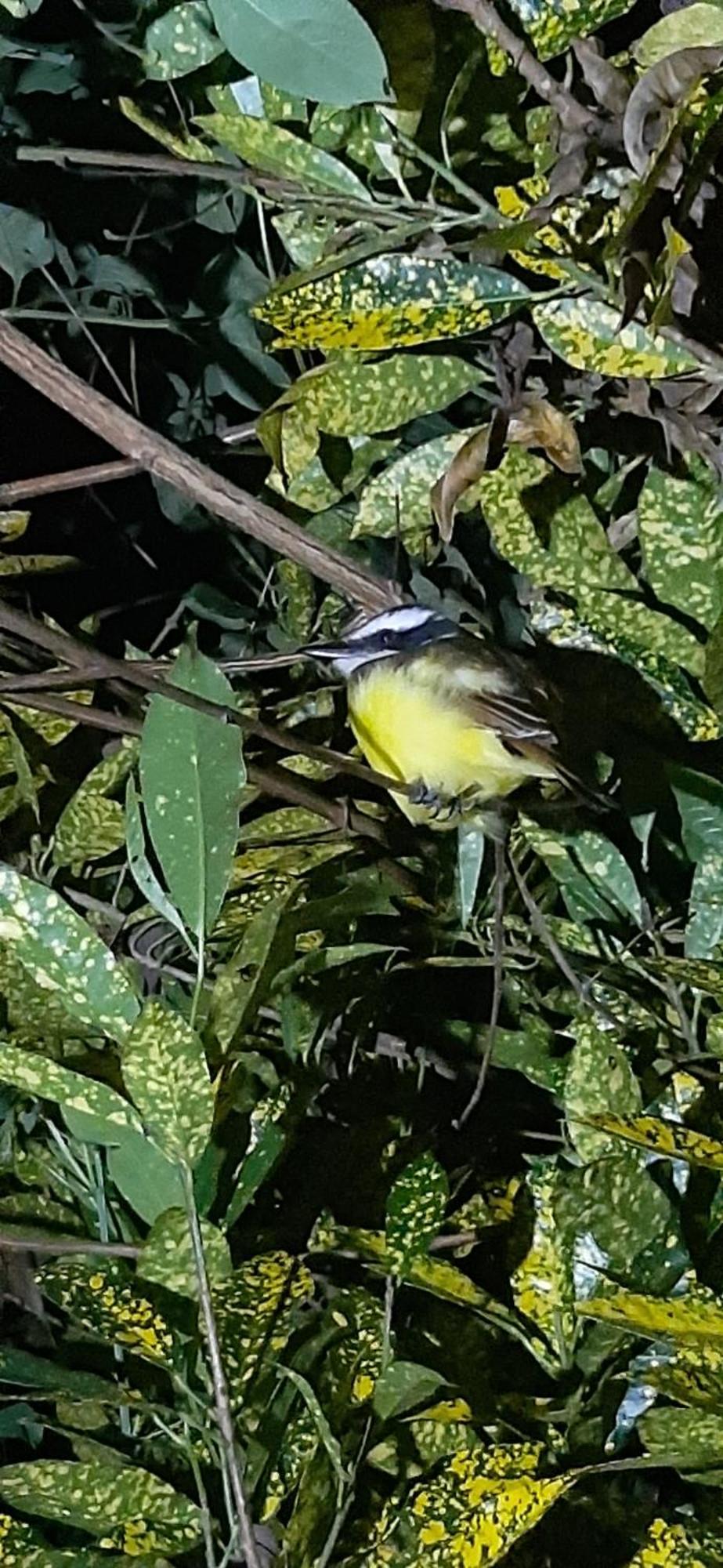 مبيت وإفطار بيجاغوا Jardin Entre Montanas المظهر الخارجي الصورة