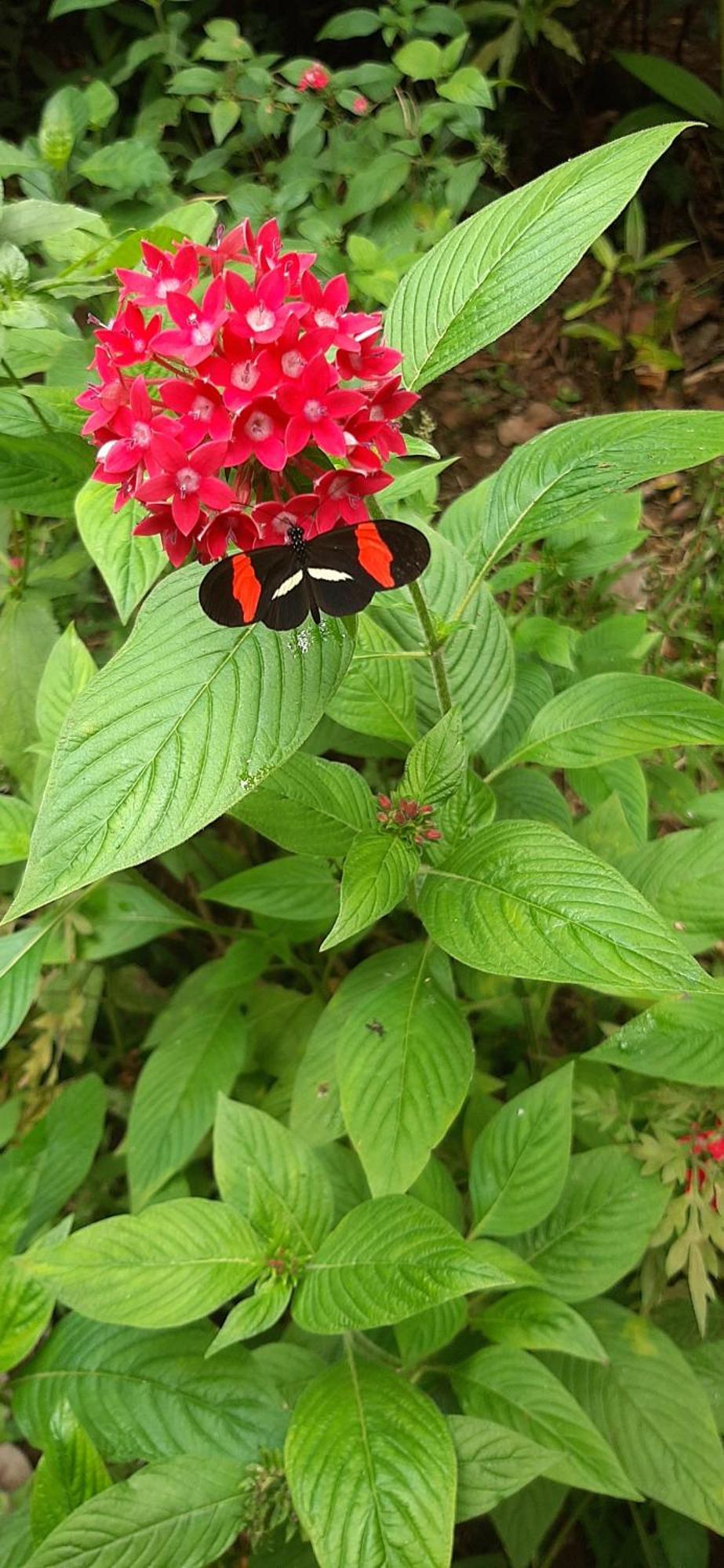 مبيت وإفطار بيجاغوا Jardin Entre Montanas المظهر الخارجي الصورة